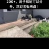 钟祥市九里带院私房出售，房屋一层建筑面积120平，土地面积200多平方、价格美丽，有需要的朋友赶紧入手吧！